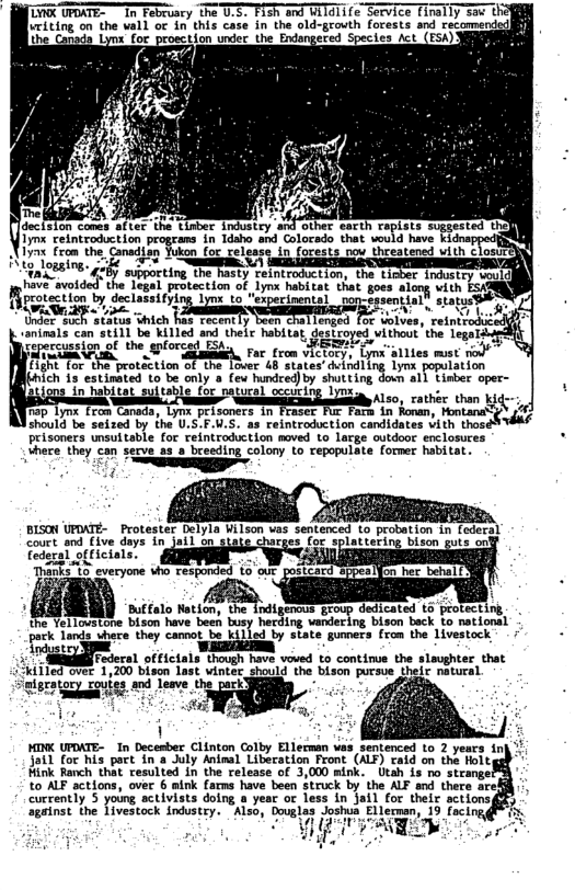 LV UPDATE- I February the U.S. Tish and Wildlife Service [inally saw the riting on the wall or in this case in the old-grouth forests and recomendedi he Canad  Iynx reintroduction Xiyax tron the Canadian Yukon for relesse in forests oou  %] sty reintroduction, the ti  he legal protection o lynx habitat that goes along it  rotection by declassifying bt -r.;nnmm In;_e,[s:n‘!\hl~ ray . . Under atus ‘Which has recently been chal lenged for wolves, reintrodic anirals can’still be kl1led and thele habltat, destcoyed vithout the LegaTaiedl  FaPesiaion! the orcglolha Far from victory, Lym alltes must 1  Tight for the protéction of the Iover 48 states’ duindling lynx population ch 1. estinbted o be only & few hundced) by shutting dov al}. Linber oper- e B T T i o i e T Camtn Ty prTsoners T Teorts Tor Fome in fonan, Montane ool e sefoed by ihe U.SLF-U-5: as reintraduction candidaces with thom risoners unsultable foe Feinicuduction moved o lorge ovkdeor Srclosures . Erece they can sere sa’a brending cotony o Cepopulste fommes habitat.  BISON UPDATE-  Protester Delyla Wilson vas sentenced to probotion Court and ive days.in Jail o atiert fedegal oficials.  Traks 1S everyone  Buffalo Nation, the indigenous group dedicated to protecting ihe Yetlonore bigomHae besh e Rering e Lo ek fo eonk pack Landa-vhere.they camot be kiiled by state gumers from the lvestock 7 - WA  Snduet3 = ‘though have voved to continue the slaughter that t vinter should the bison pursue their natural  MINK UPDATE- 1 Decesber Cinton Colby Elietman was sentenced to 2 years in jail foc his poct in a July Aninal Libecation Front (ALF) cald on the folty ink Ranch that resulted in the release of 3,000 mirk. Utah is no strangs to ALF sctions, over 6 mink farms have been struck by the ALF and there are  currently 5 young activists doing a year or less in Jail for their actions against the Tivestock industry. Also, Douglas Joshua Elleman, 19 focl;  TR s S  